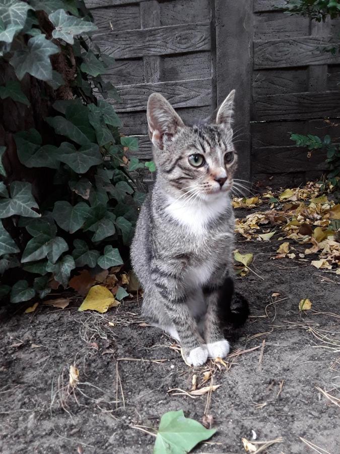 Ostoja Slesin Ślesin Exterior foto
